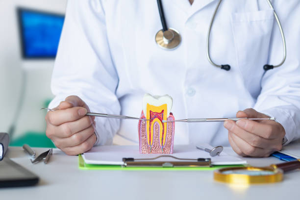 Best Emergency Dentist for Lost Fillings or Crowns in Michigan City, IN